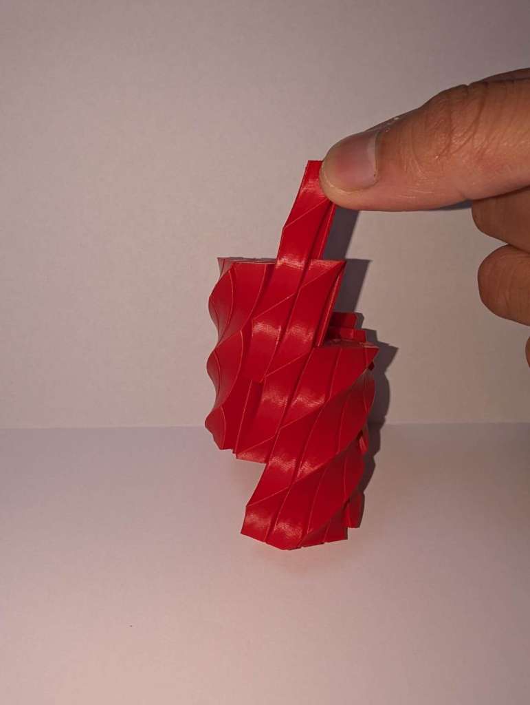 Twist Morph Fidget Toy